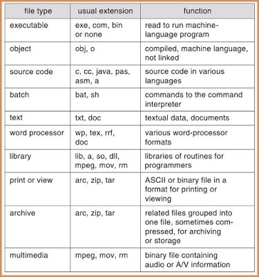 file system interface file type name extension