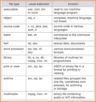 file type name extension