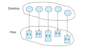 Directory Structure