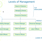 level of management