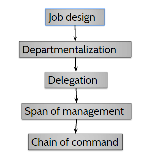 organizational process