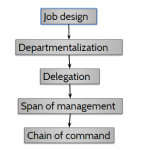 organizational process